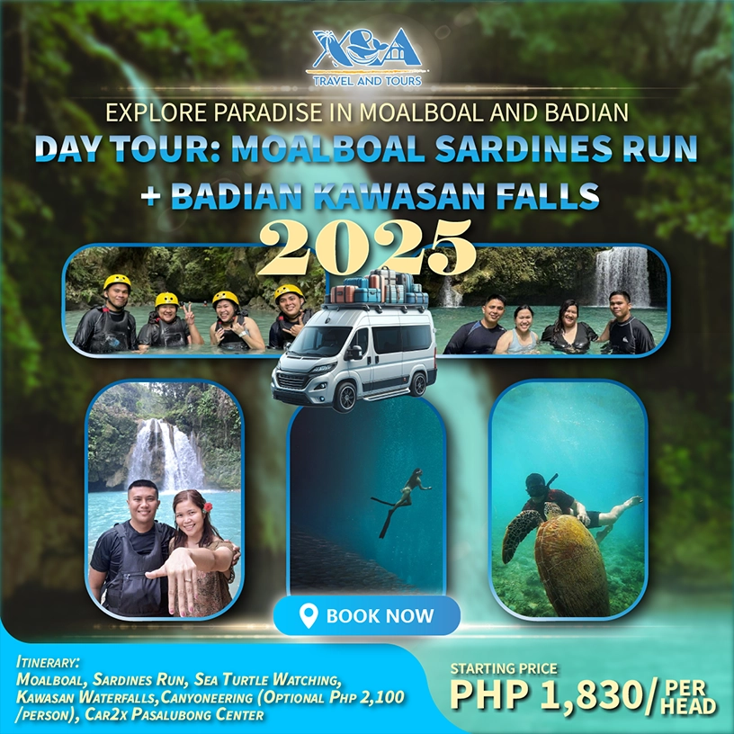 Witness the mesmerizing Sardines Run in Moalboal, Cebu