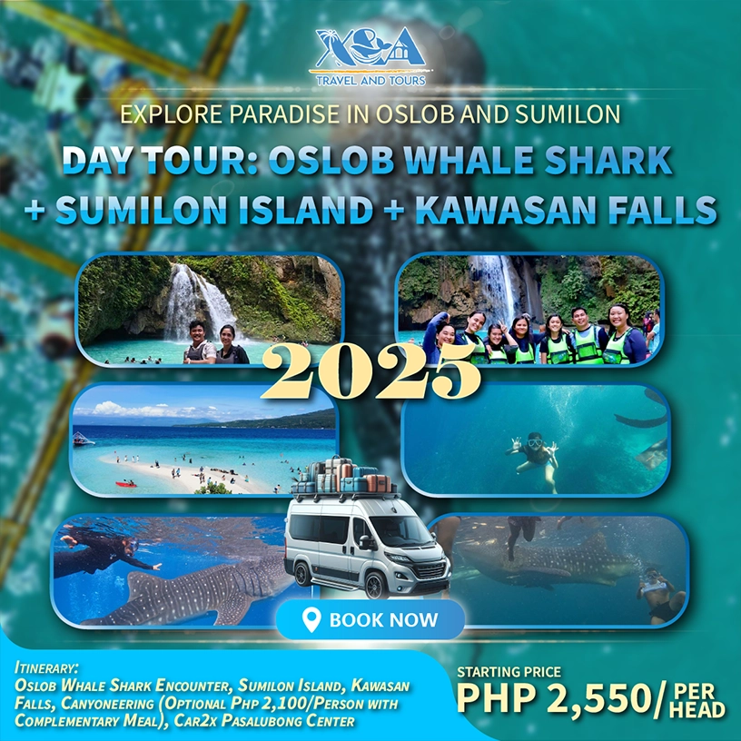 Encounter whale sharks in Oslob, unwind at Sumilon Island, and be mesmerized by Kawasan Falls